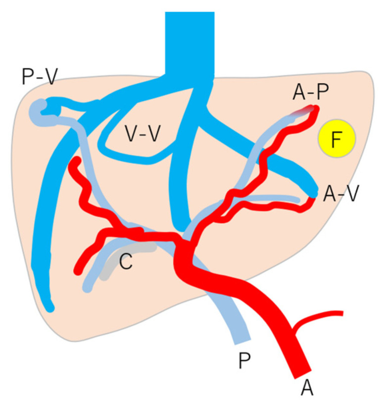 Figure 8