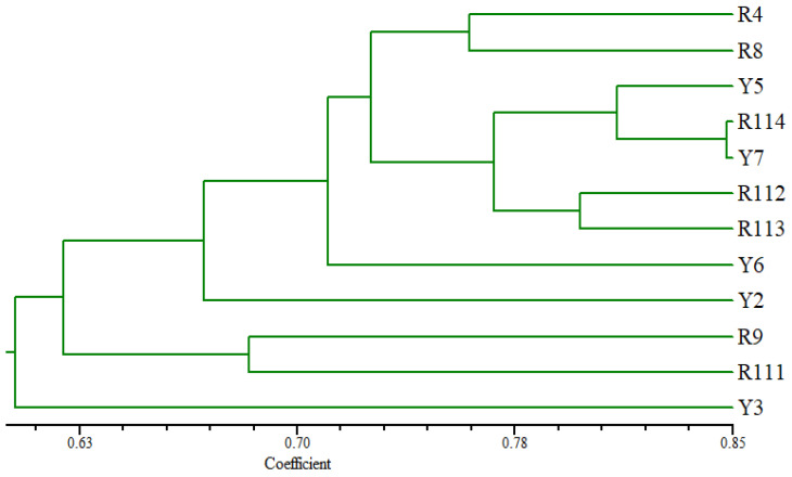 Figure 5