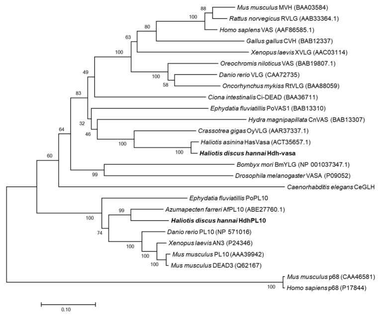 Figure 4