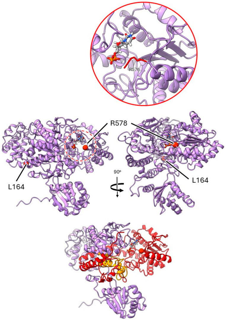 Figure 6