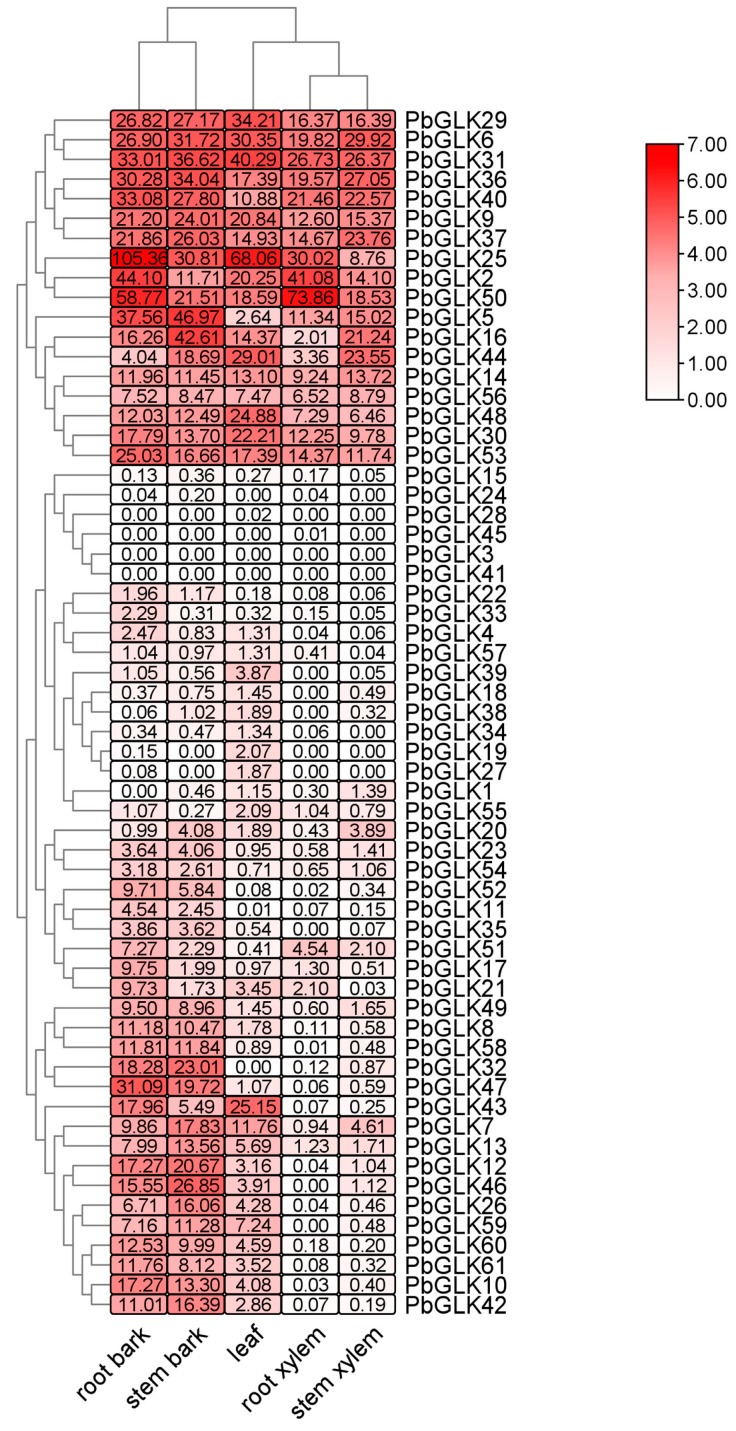 Figure 7