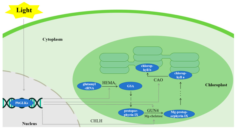 Figure 10