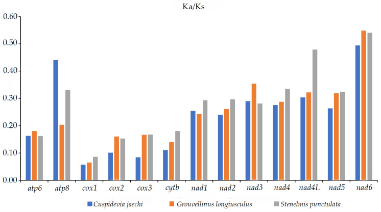 Figure 5