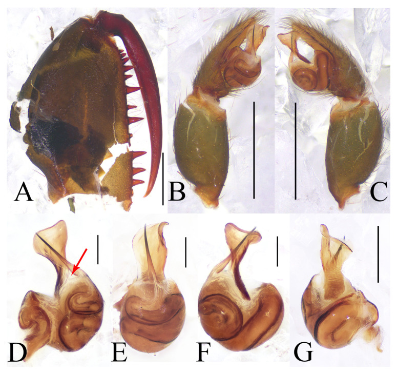 Figure 10
