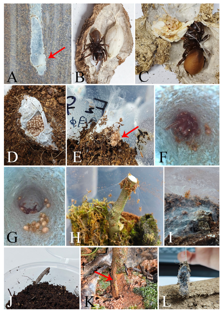 Figure 14