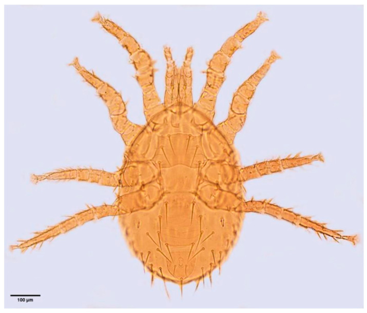 Figure 13