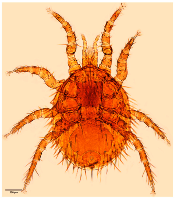 Figure 14