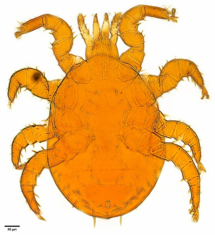 Figure 15