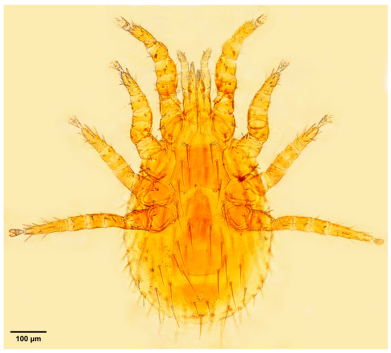 Figure 16