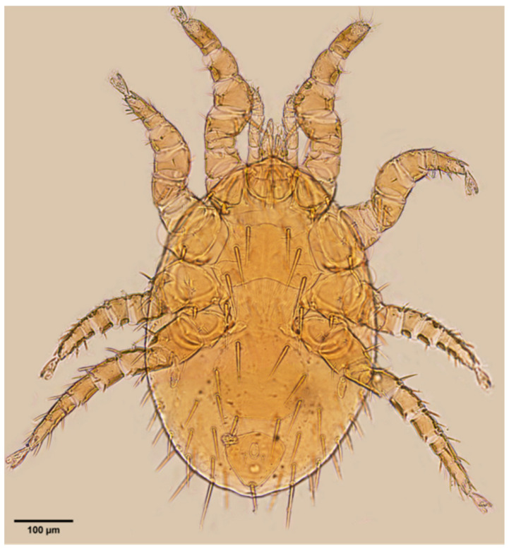 Figure 17