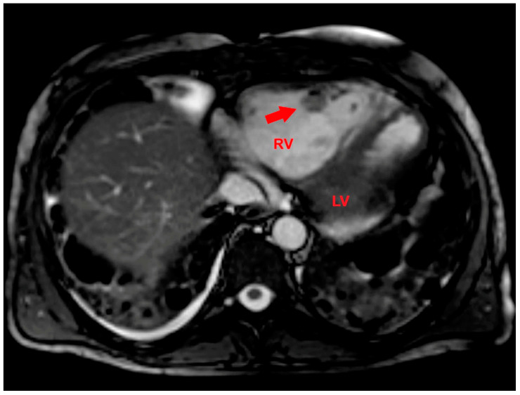 Figure 7