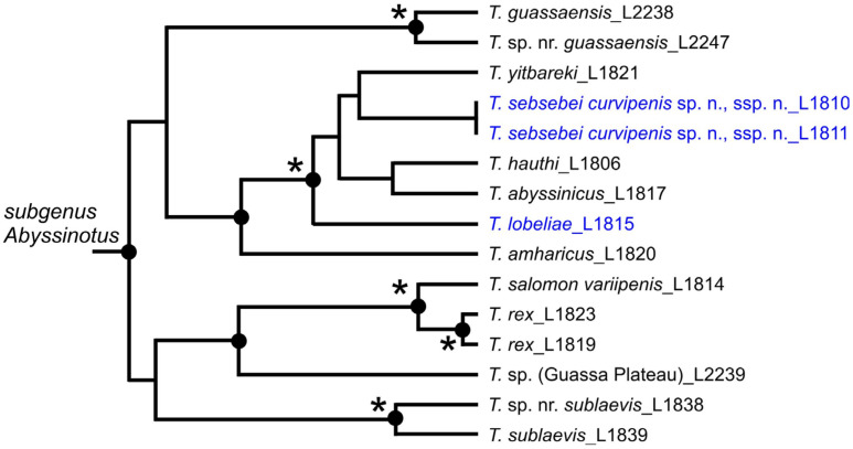 Figure 10