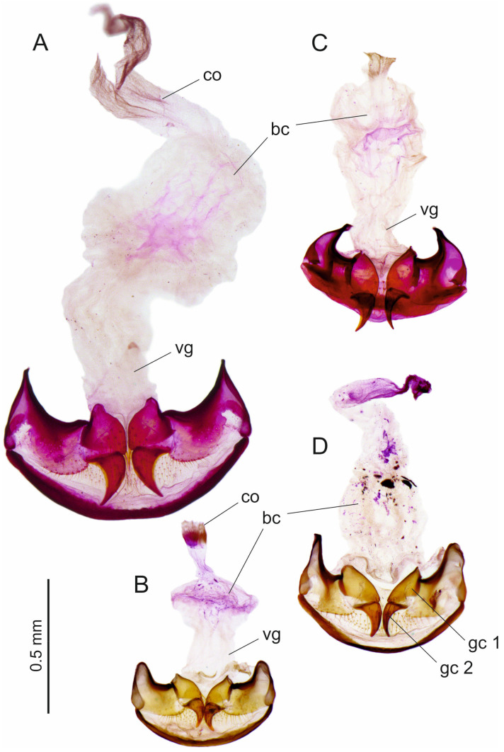 Figure 12