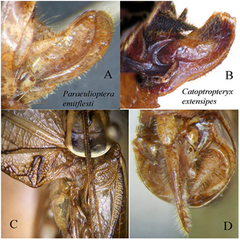 Figure 13