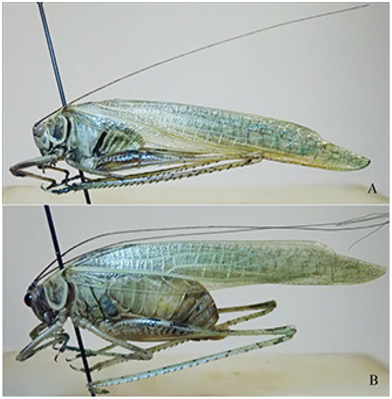 Figure 14
