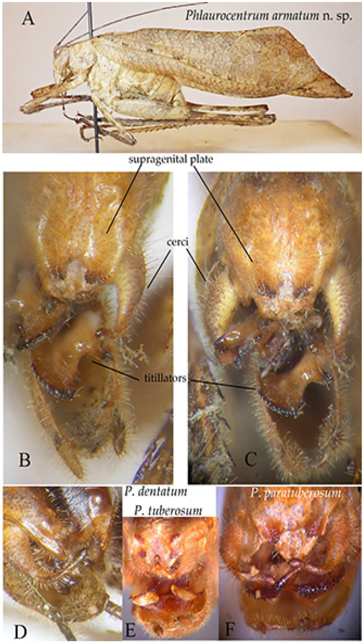 Figure 16