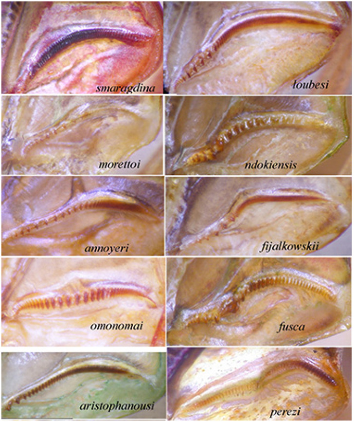 Figure 22