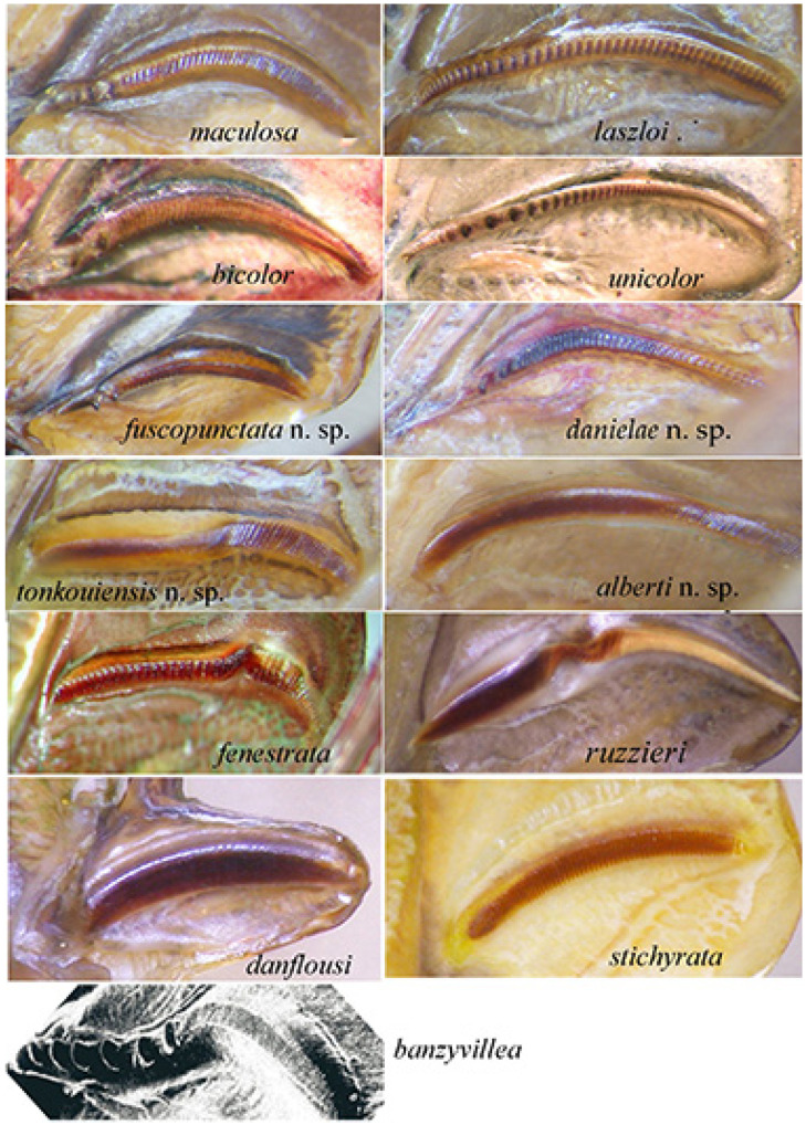 Figure 23