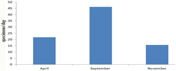 Figure 26