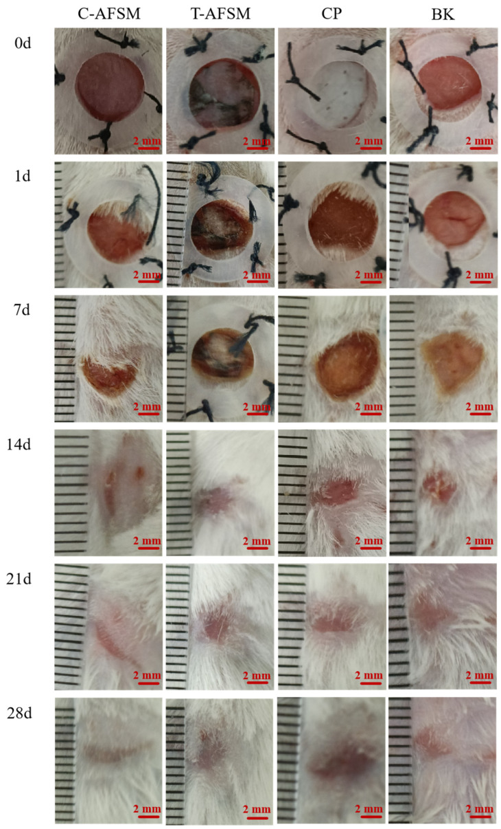Figure 7