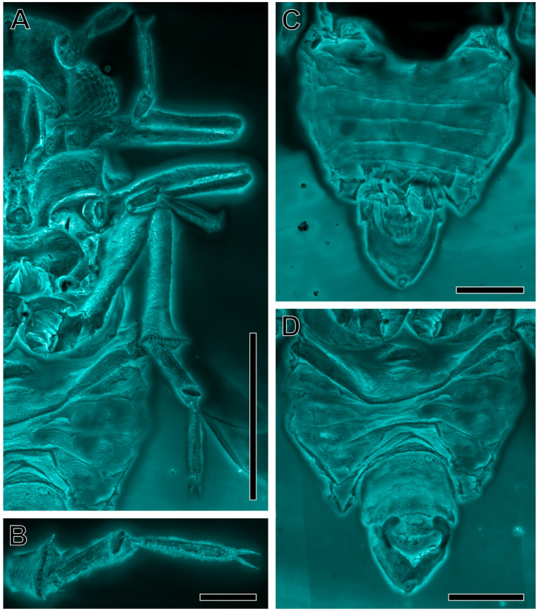 Figure 5