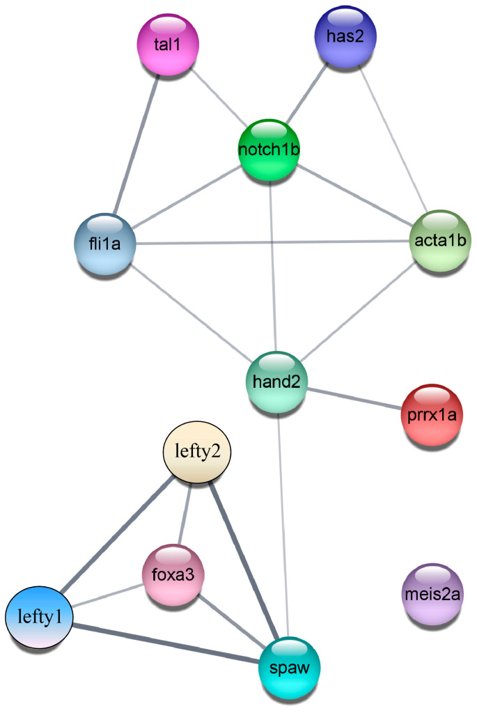 Figure 13