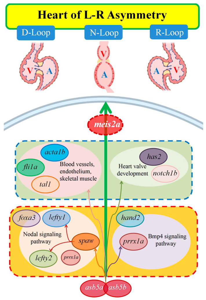 Figure 14