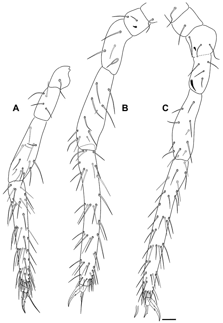 Figure 10