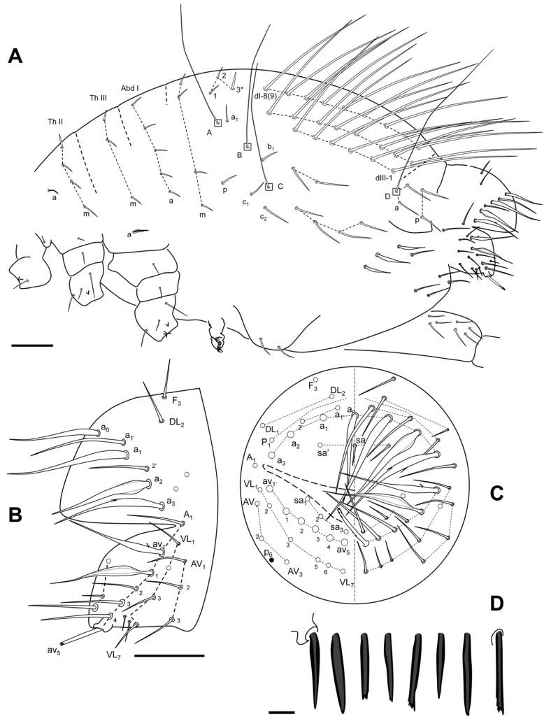 Figure 11