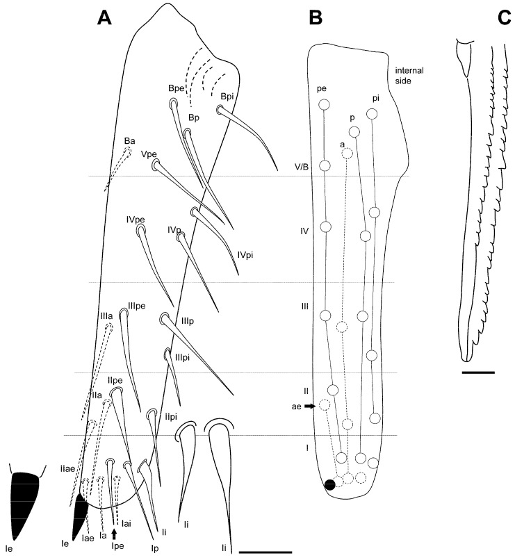Figure 13