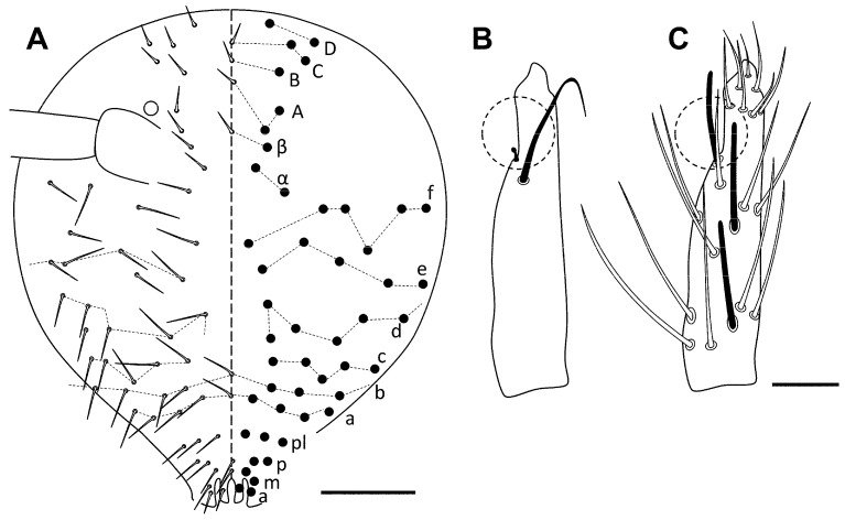 Figure 14