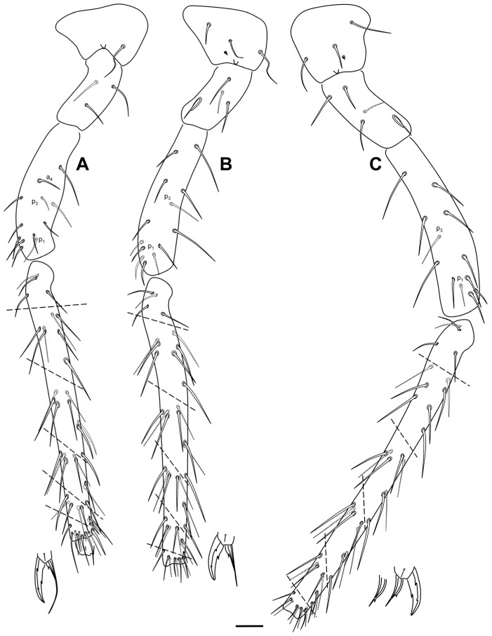 Figure 15