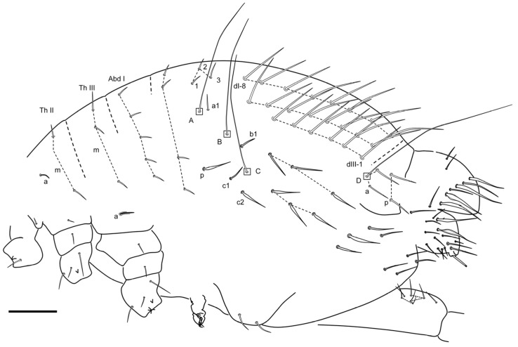 Figure 16