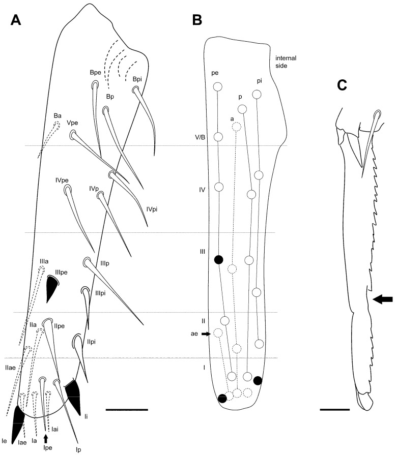 Figure 17