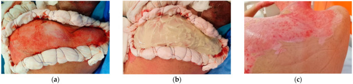 Figure 7