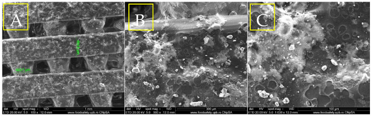 Figure 6