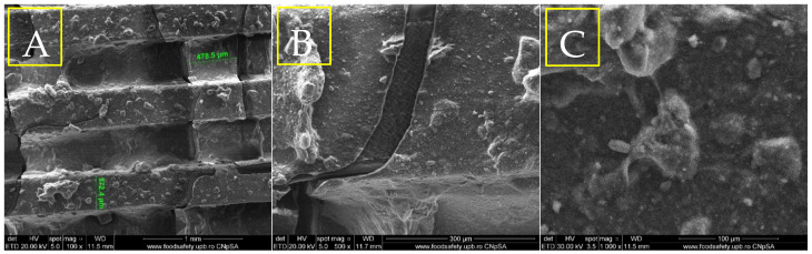 Figure 7