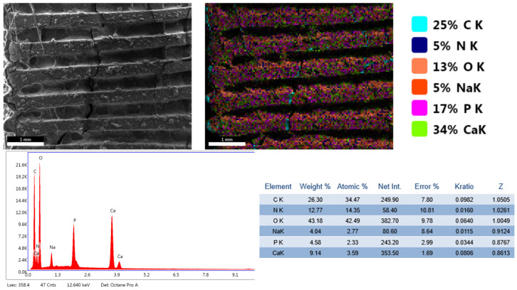 Figure 10