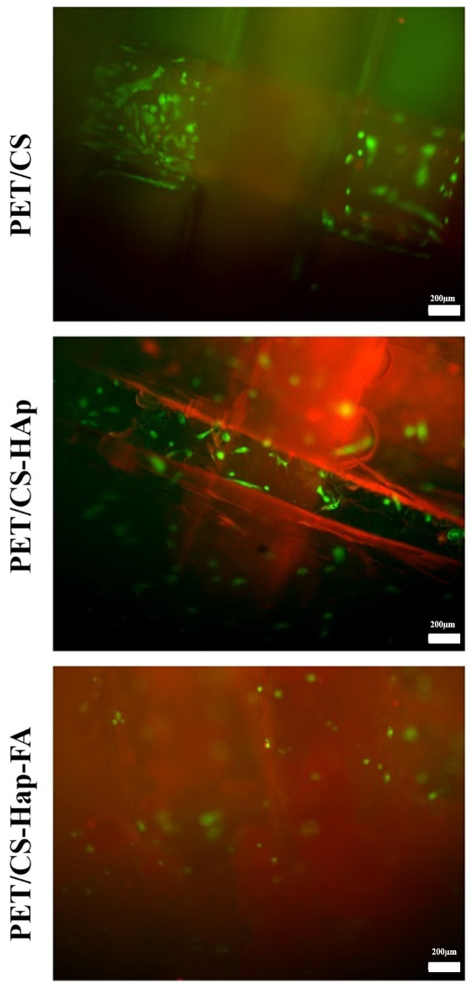 Figure 14