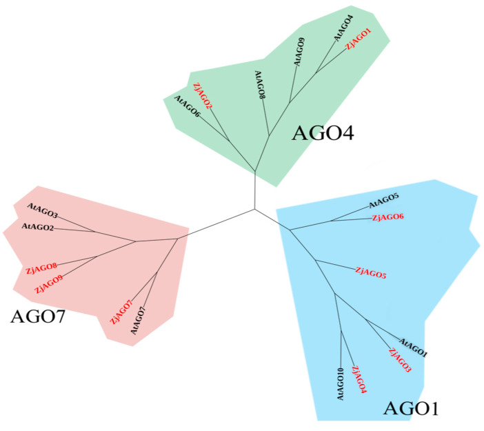 Figure 4