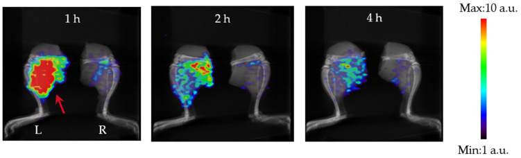 Figure 4