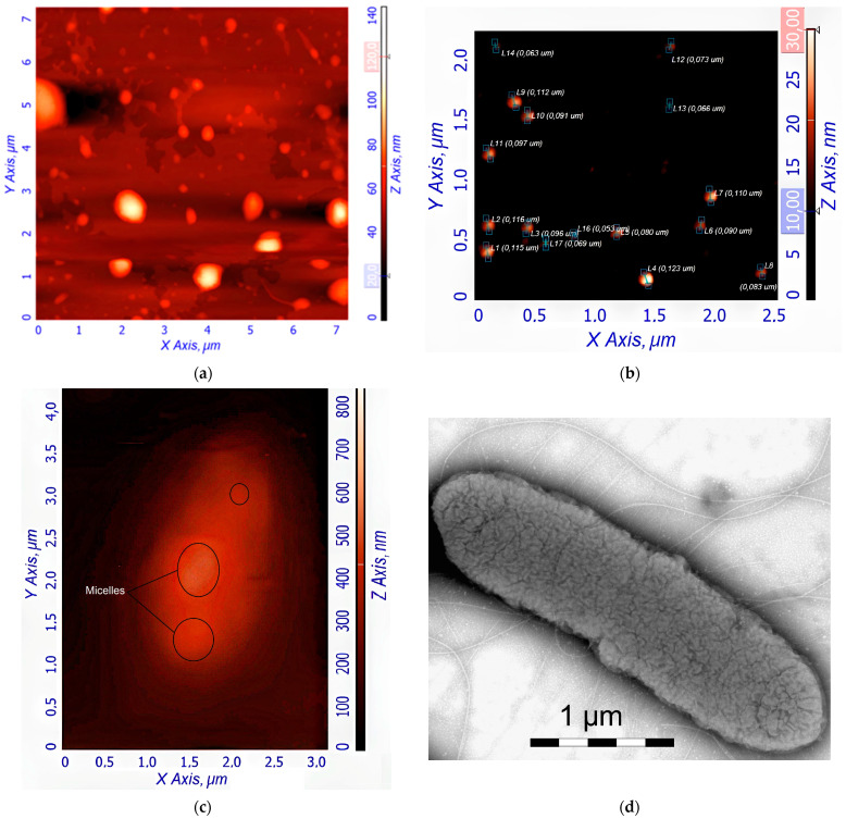 Figure 6