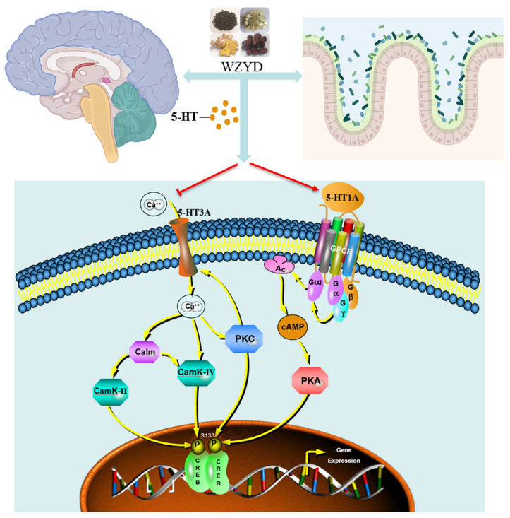 Figure 13