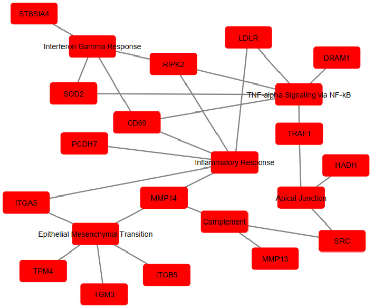 Figure 4