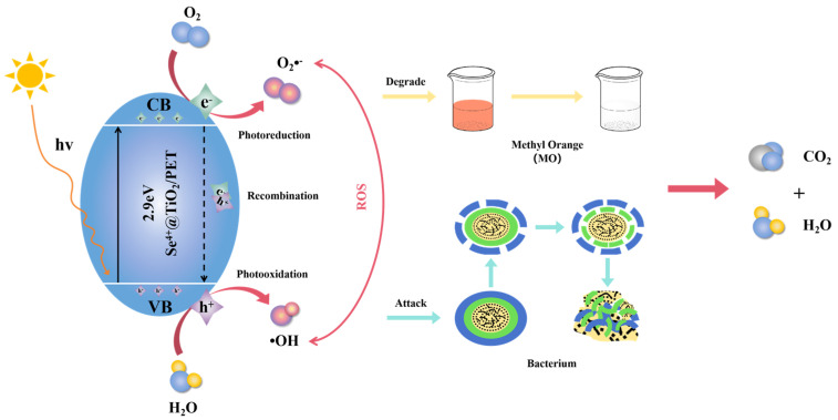 Figure 12