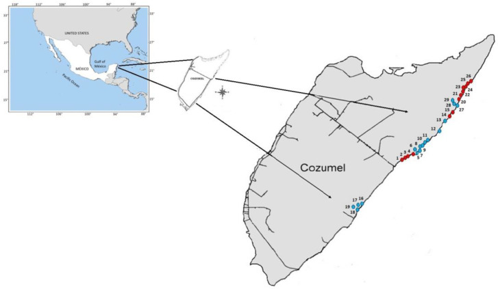 Figure 7