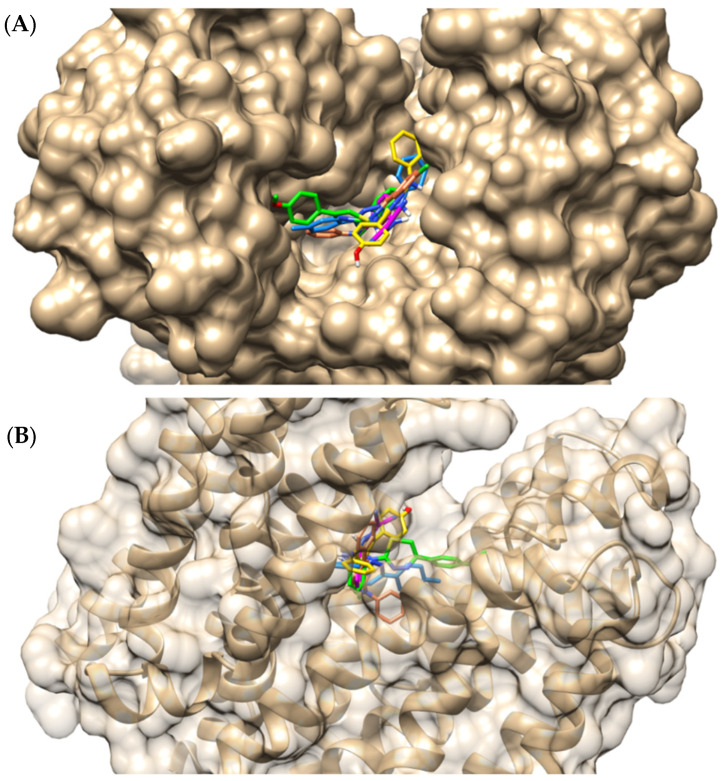 Figure 5