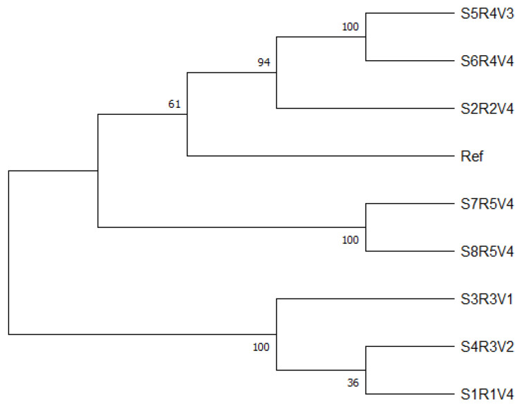 Figure 2