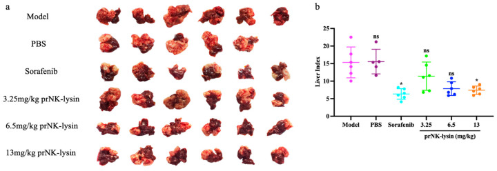 Figure 12