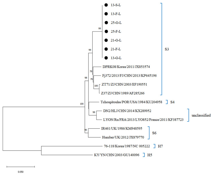Figure 4